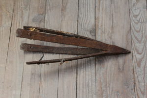 Description de l'image
